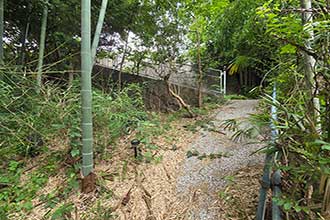 三浦市初声町和田　売地