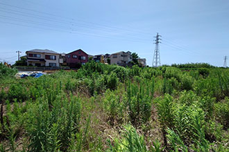 三浦市初声町三戸　売地