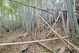 三浦市初声町下宮田　売地