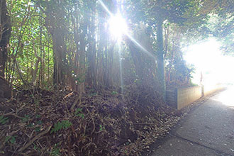 三浦市初声町和田　売地