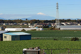 三浦市初声町和田　売地